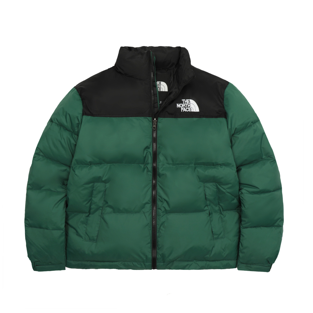 The North Face 1996 series down jacket