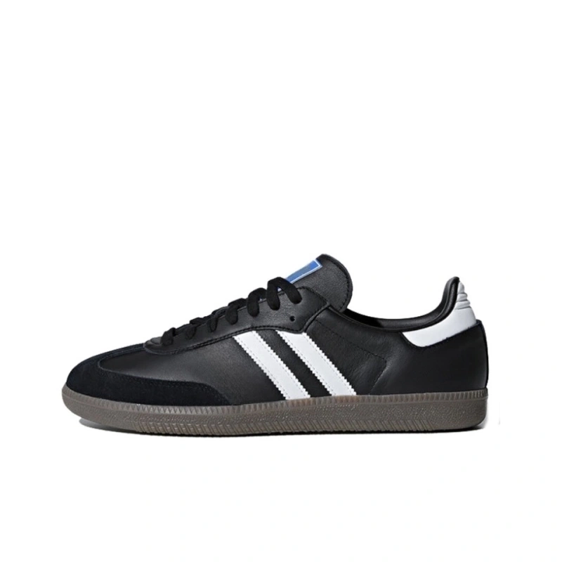 sam With shoe box1 adidas