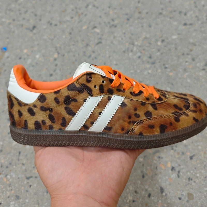 2sam With shoe box adidas