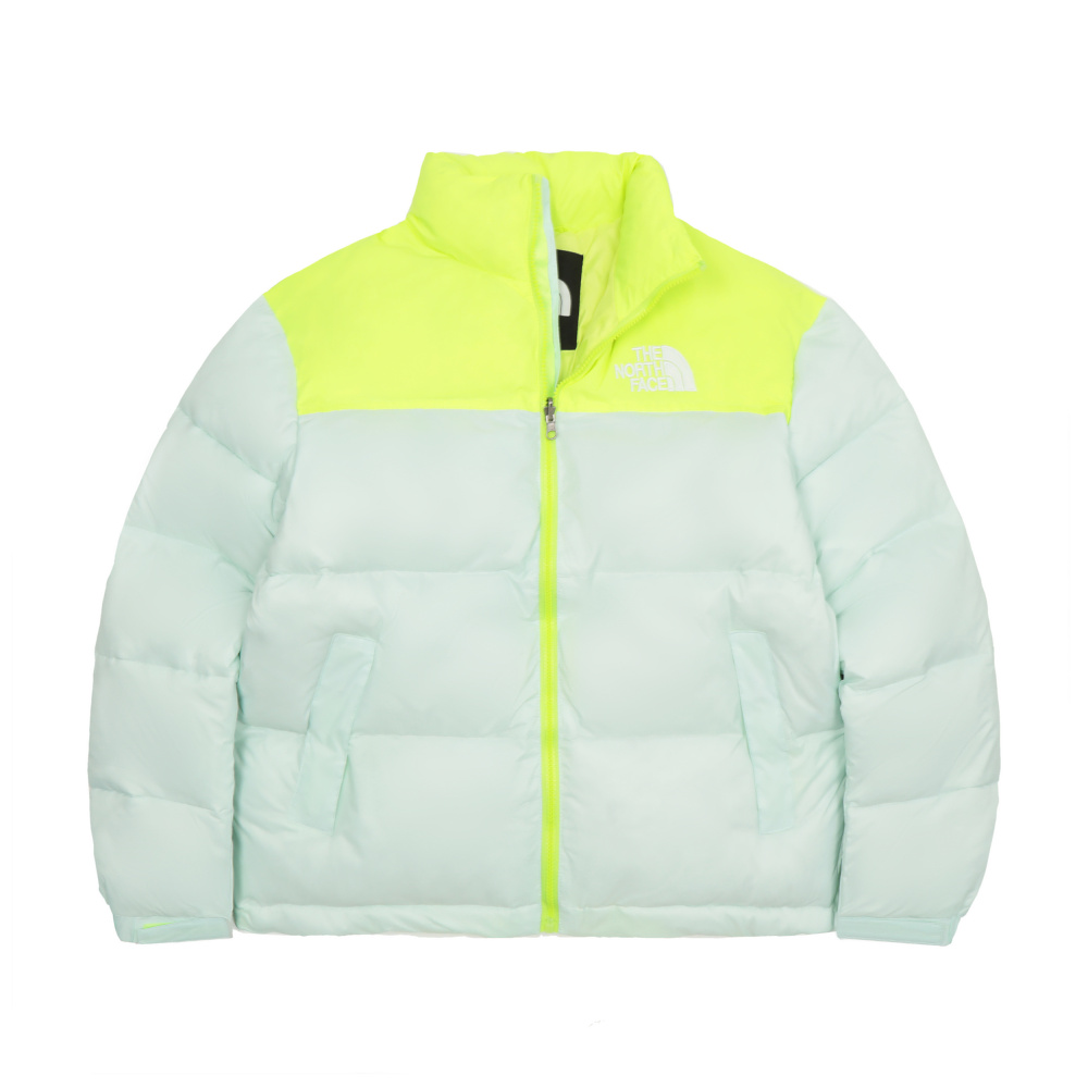 The North Face 1996 series down jacket