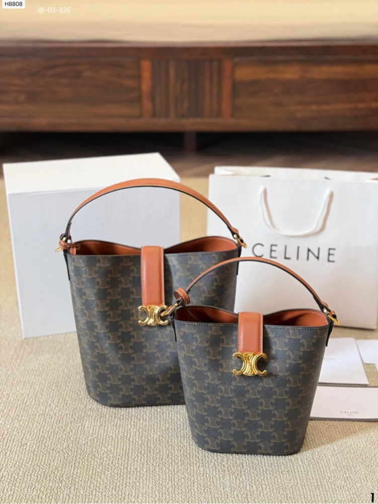 CELINE Louise Leather Bucket Bag (Mini/Medium)