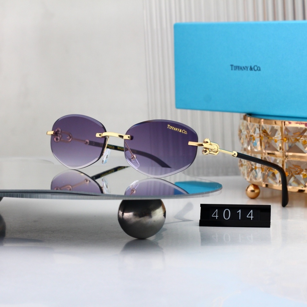 Tiffany & Co. Sophisticated Sunglasses  4014