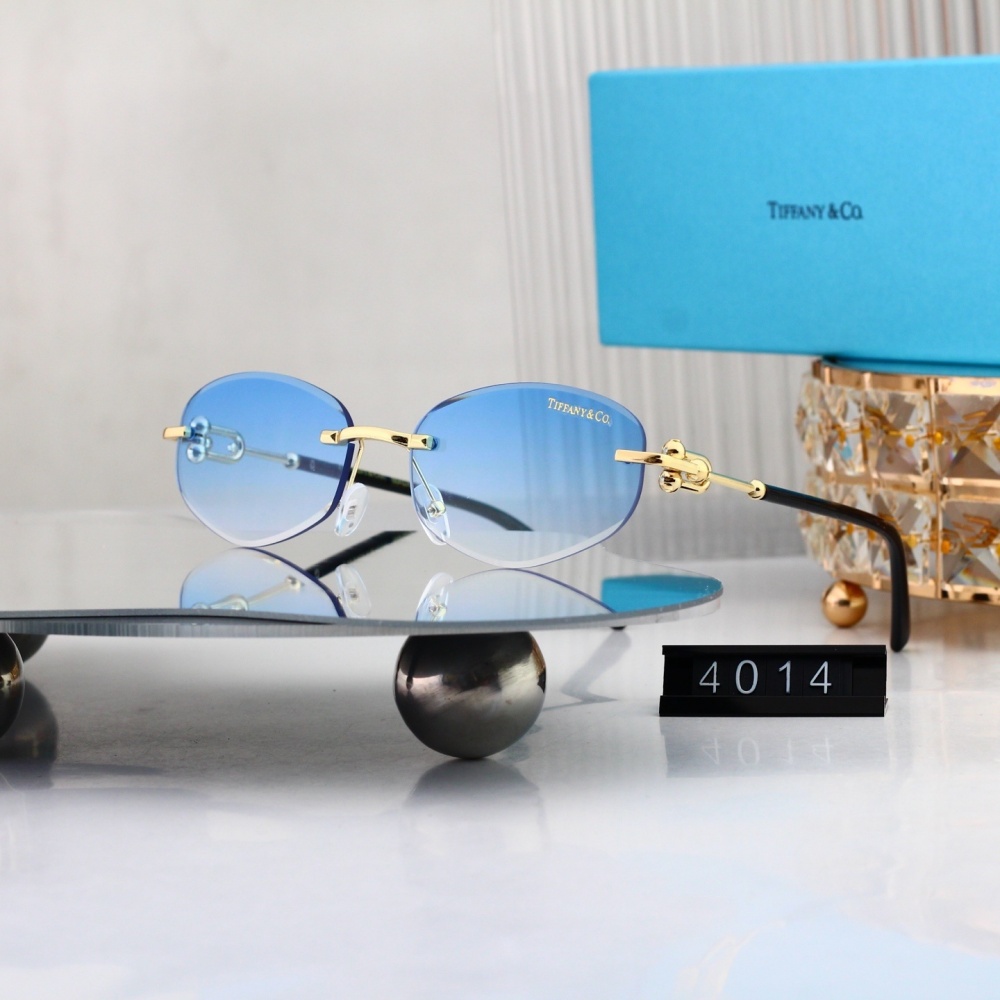 Tiffany & Co. Sophisticated Sunglasses  4014