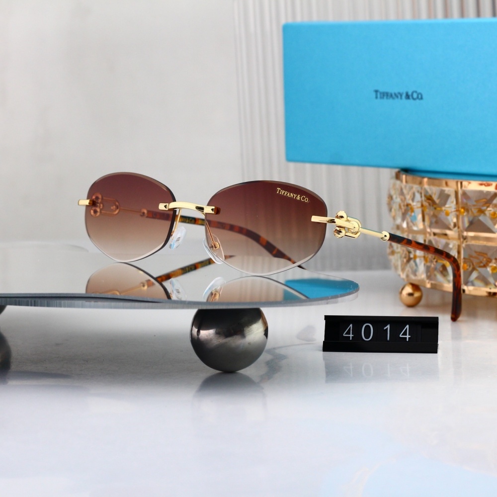 Tiffany & Co. Sophisticated Sunglasses  4014