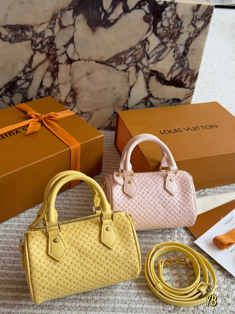 LV Mini Speedy Handbag & Shoulder Bag