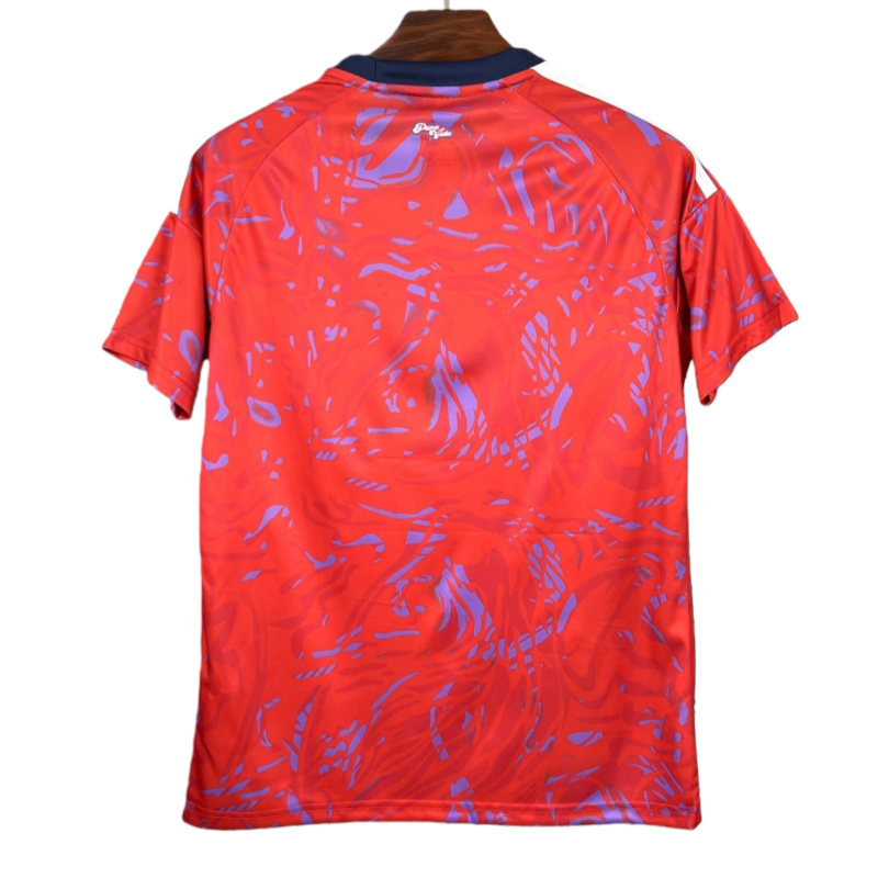 2026  Costa Rica World Cup Home Football jersey Fan edition