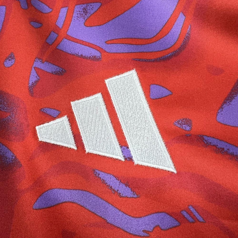 2026  Costa Rica World Cup Home Football jersey Fan edition