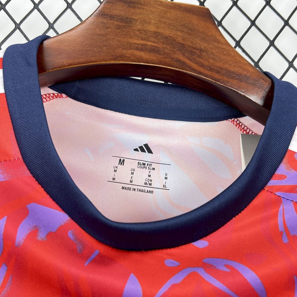 2026  Costa Rica World Cup Home Football jersey Fan edition