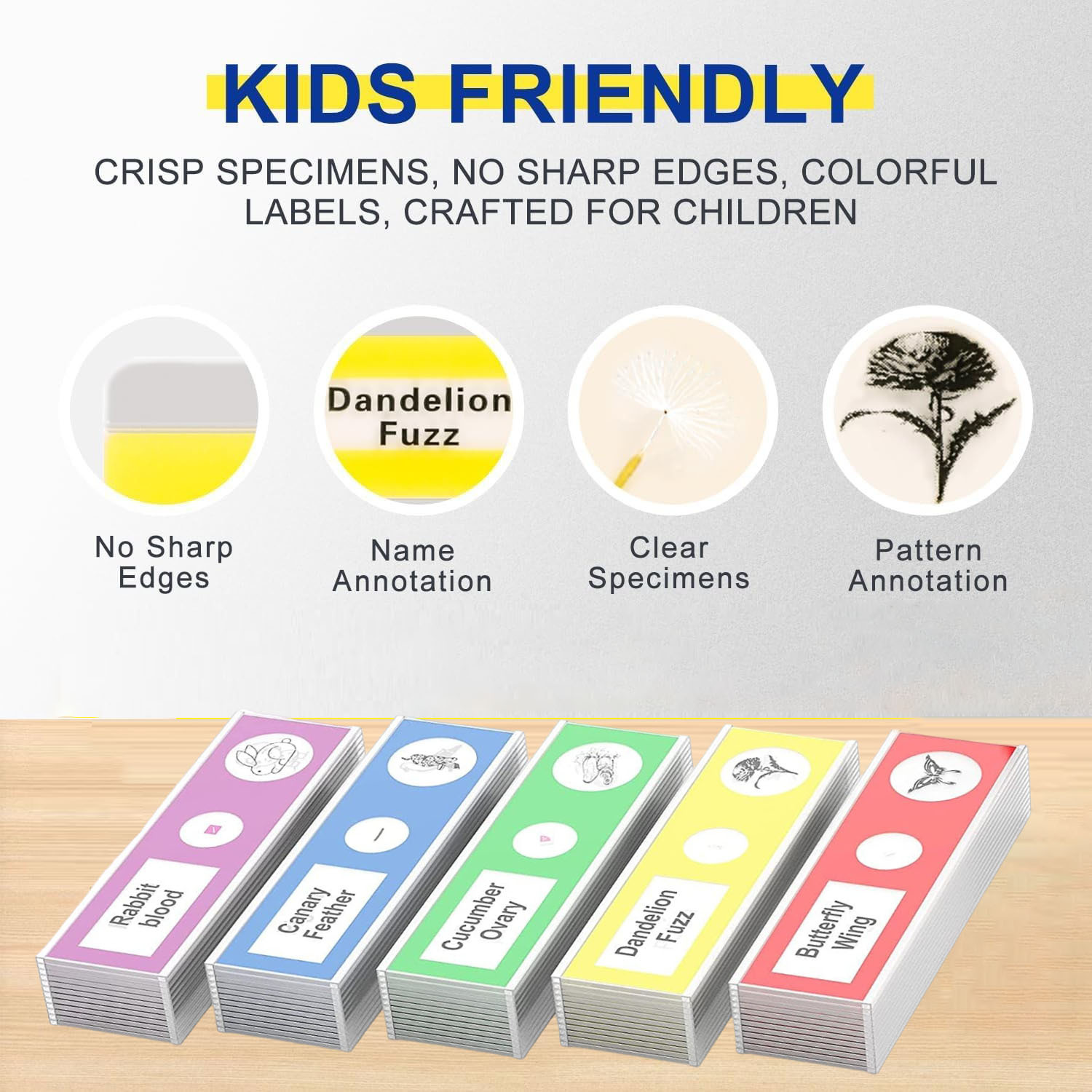 Prepared Microscope Slides for Kids, Microscope Specimen Slides with Plants Insects for Biology and Science Study, Microscope Accessories Slides Set for Kids