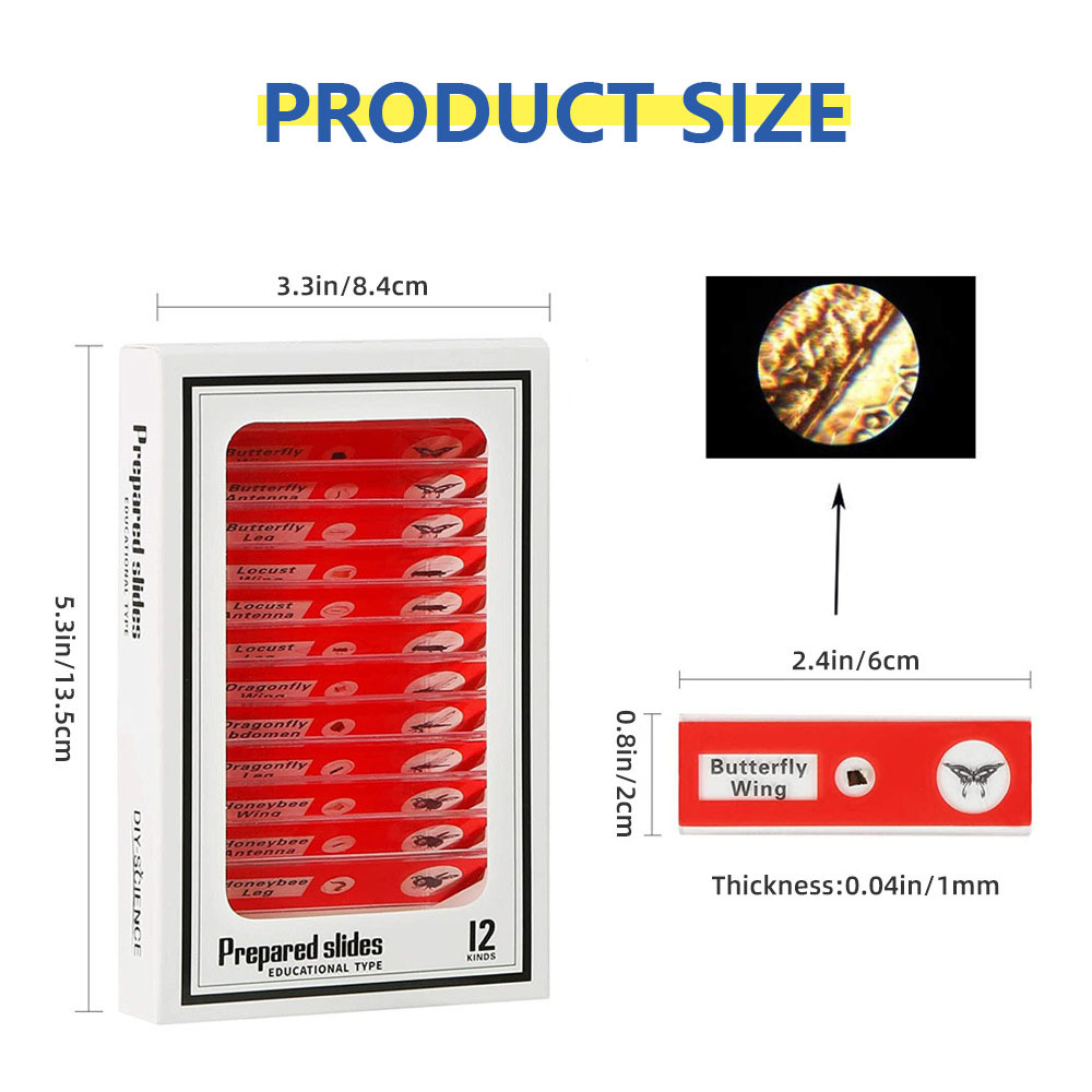 Prepared Microscope Slides for Kids, Microscope Specimen Slides with Plants Insects for Biology and Science Study, Microscope Accessories Slides Set for Kids