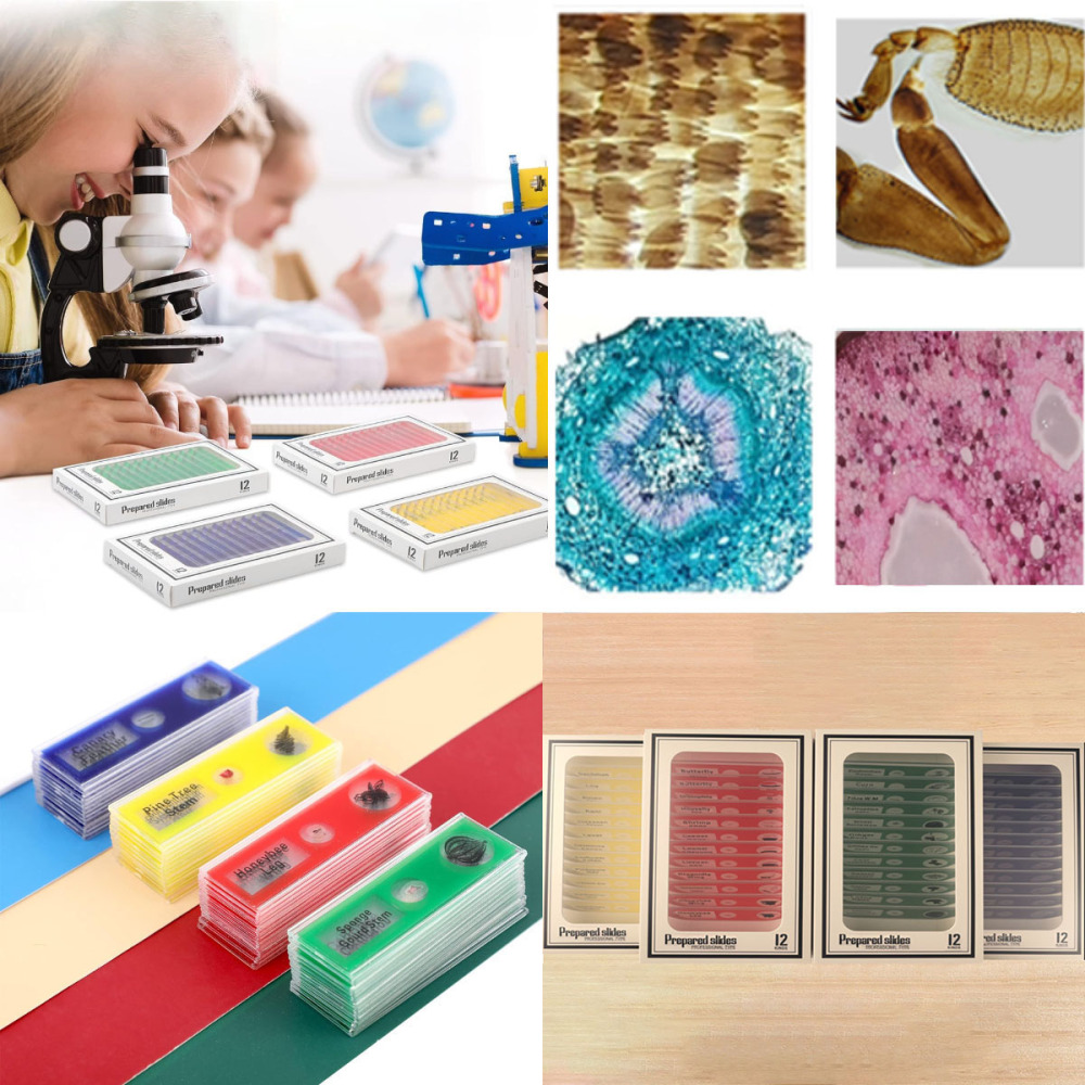 Prepared Microscope Slides for Kids, Microscope Specimen Slides with Plants Insects for Biology and Science Study, Microscope Accessories Slides Set for Kids