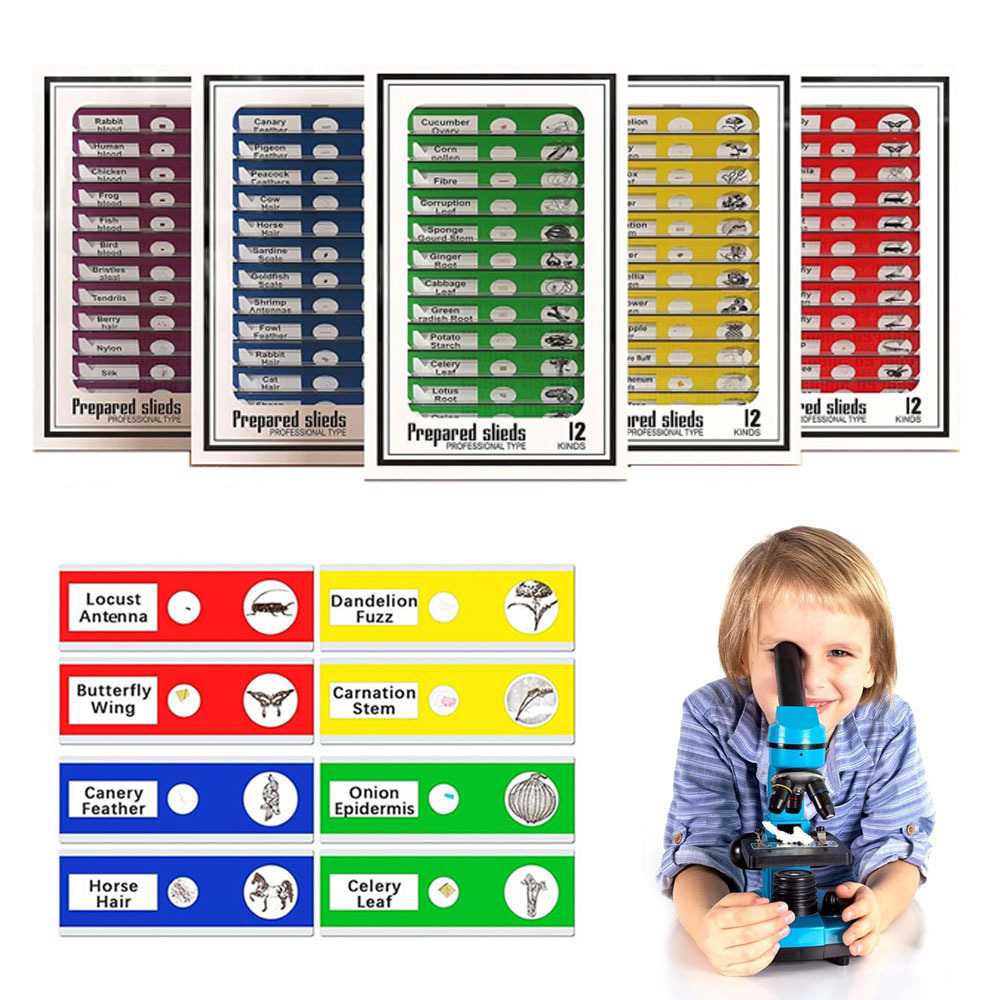 Prepared Microscope Slides for Kids, Microscope Specimen Slides with Plants Insects for Biology and Science Study, Microscope Accessories Slides Set for Kids