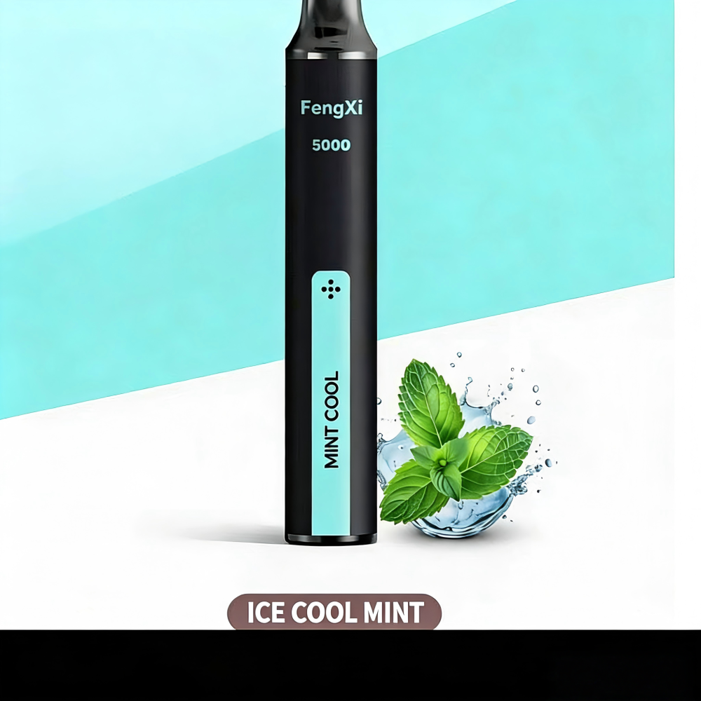 FengXi Herbal Atomizer5000 slim black stick