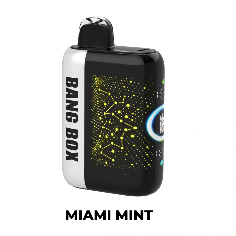 Bang Box 42000 Puffs Boleh Dipakai