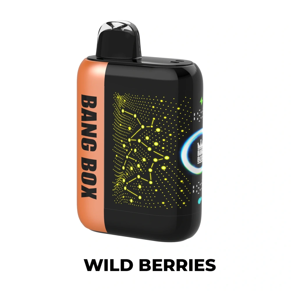 Bang Box 42000 Puffs Boleh Dipakai