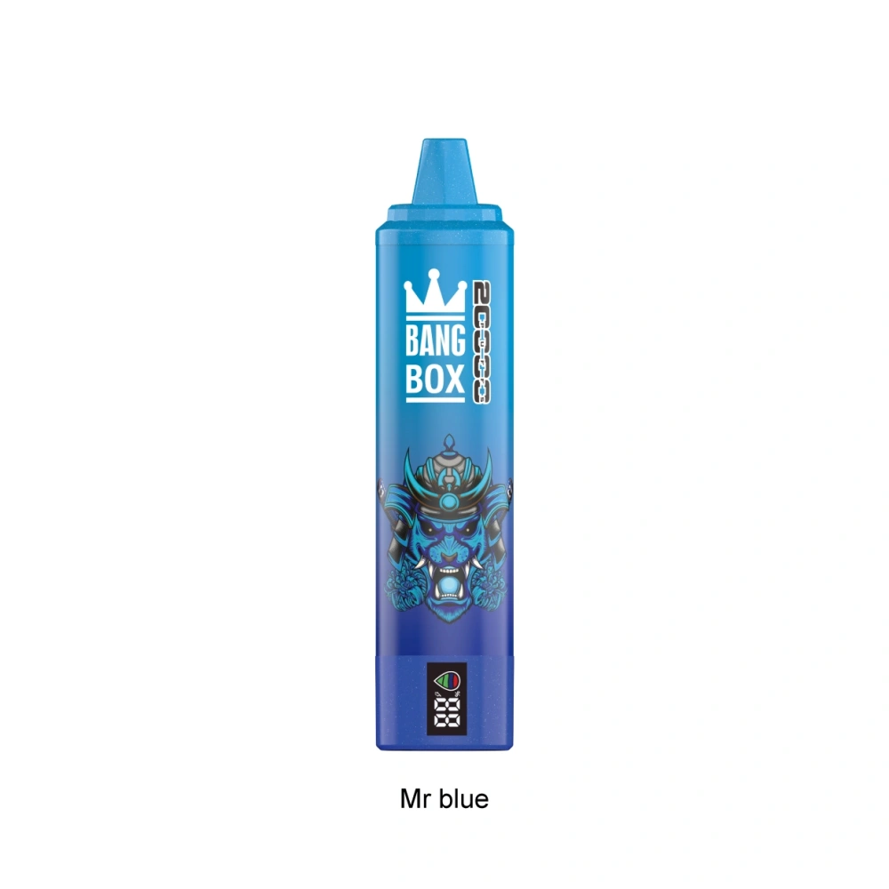 Bang Box 20000 Puffs Boleh Dipakai