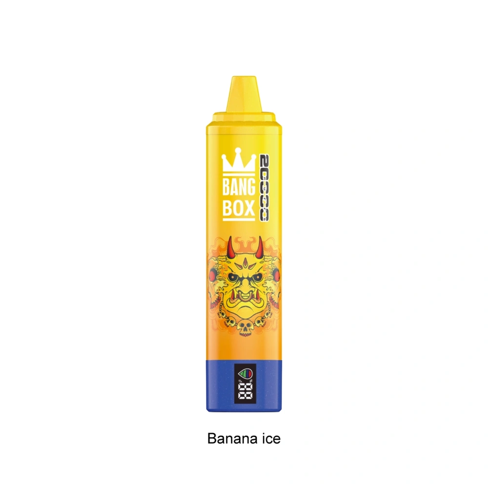 Bang Box 20000 Puffs Boleh Dipakai