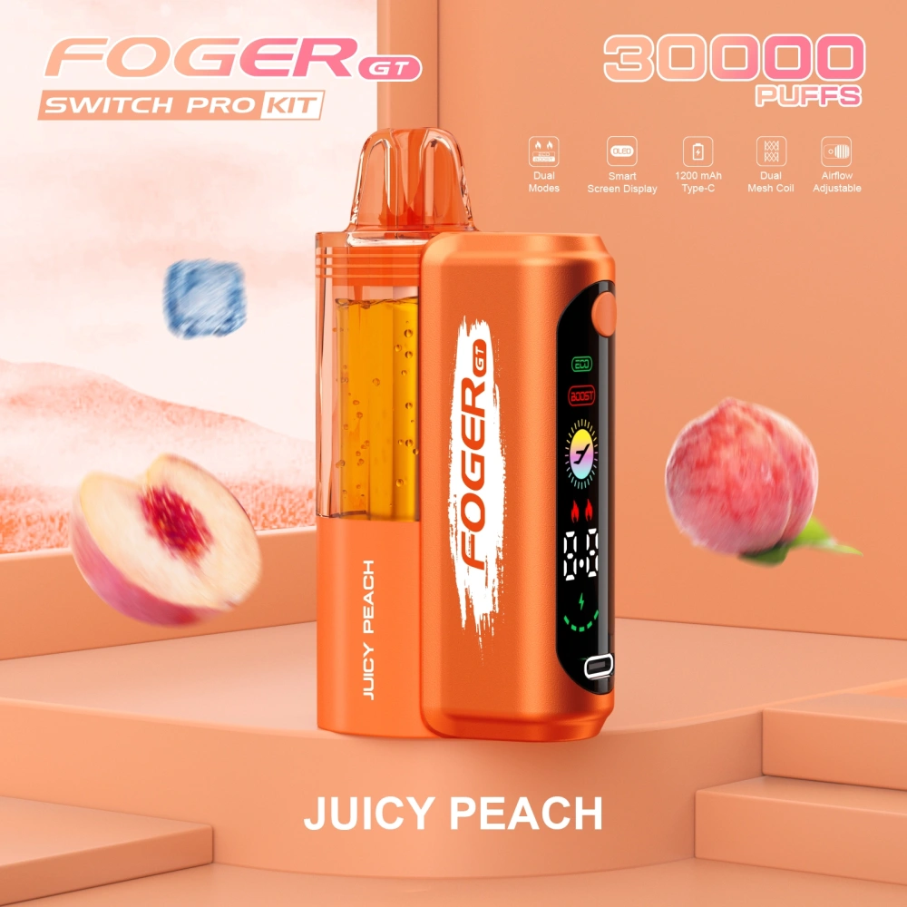 Foger GT 30000 Puffs Pod Kit Disposable Vape