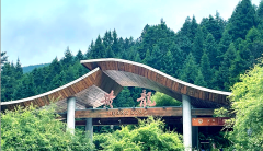Sichuan Cultural Heritage Tour- 6 Days,MY SHOP,Sichuan Cultural Heritage Tour- 6 Days