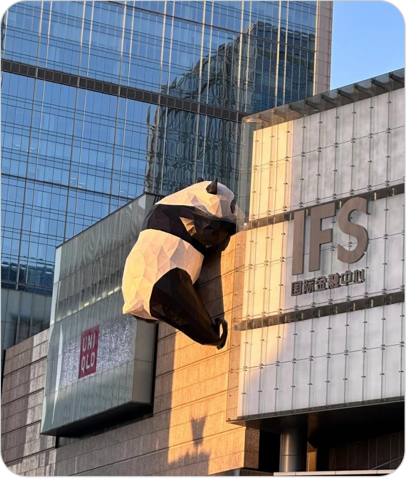Sichuan Cultural Heritage Tour- 6 Days,MY SHOP,Sichuan Cultural Heritage Tour- 6 Days