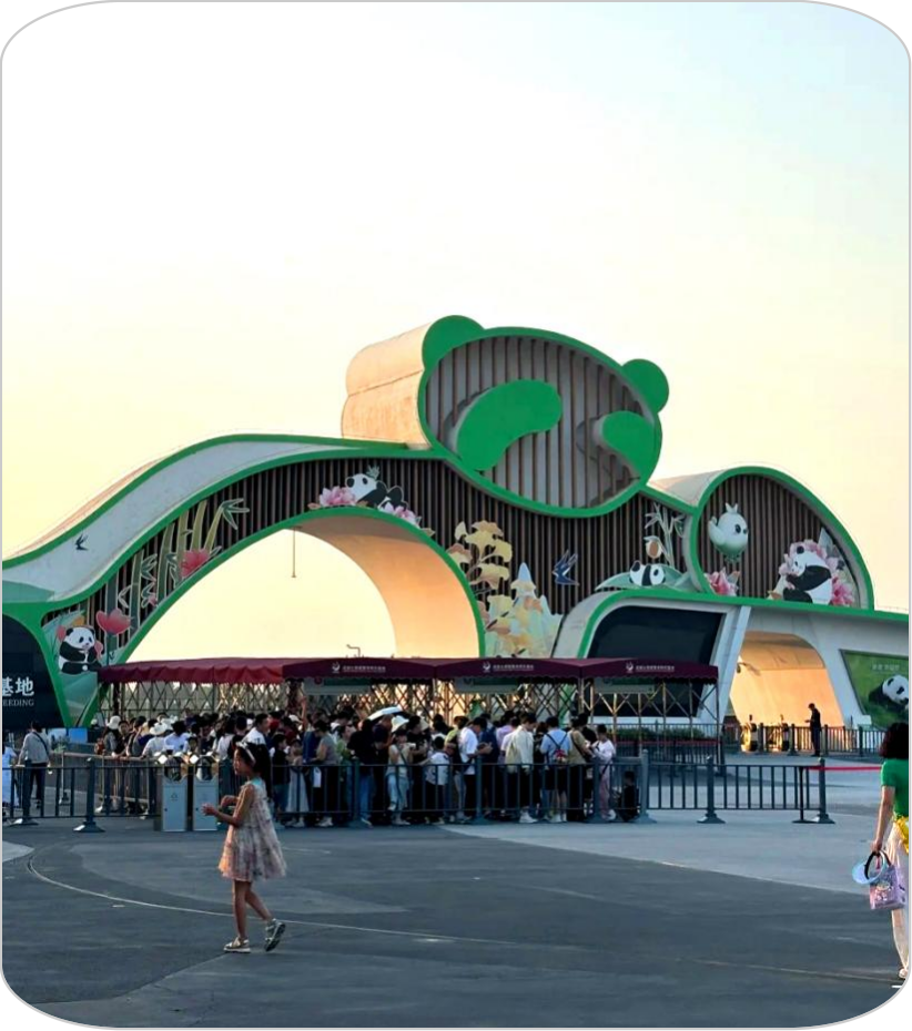 Sichuan Cultural Heritage Tour- 6 Days,MY SHOP,Sichuan Cultural Heritage Tour- 6 Days