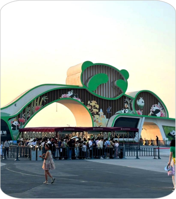 Sichuan Cultural Heritage Tour- 6 Days,MY SHOP,Sichuan Cultural Heritage Tour- 6 Days