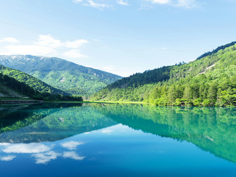 Sichuan Cultural Heritage Tour- 6 Days,Gopandatours,Sichuan Cultural Heritage Tour- 6 Days