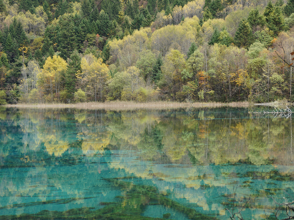 Sichuan Cultural Heritage Tour- 6 Days,Gopandatours,Sichuan Cultural Heritage Tour- 6 Days