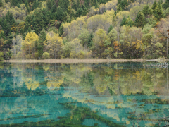 Sichuan Cultural Heritage Tour- 6 Days,Gopandatours,Sichuan Cultural Heritage Tour- 6 Days