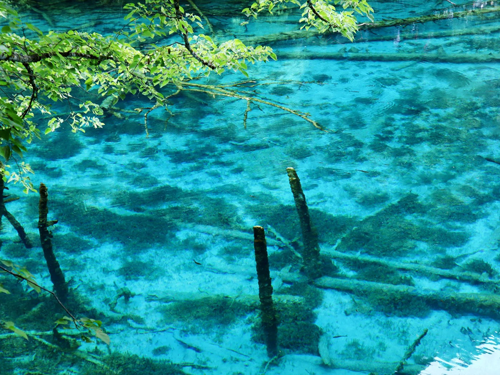 Sichuan Cultural Heritage Tour- 6 Days,Gopandatours,Sichuan Cultural Heritage Tour- 6 Days