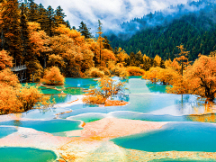 2026 Signature Tour: Sichuan Intangible Cultural Heritage & Fairyland Exploration- 6 Days,Gopandatours,2026 Signature Tour: Sichuan Intangible Cultural Heritage & Fairyland Exploration- 6 Days