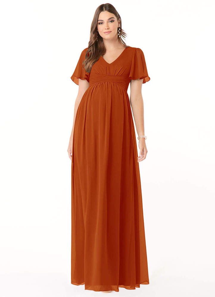 elyessen Verna A-Line V-Neck Ruched Chiffon Floor-Length Dress Cabernet 6