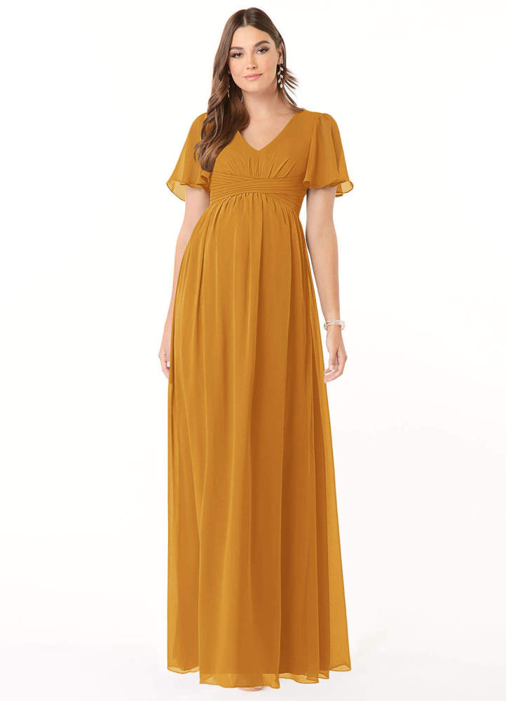 elyessen Verna A-Line V-Neck Ruched Chiffon Floor-Length Dress Cabernet 7