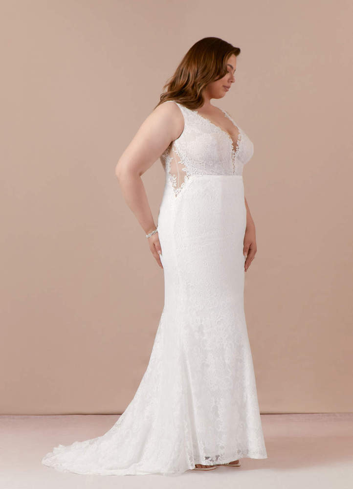 elyessen  Diamond White Champagne Mermaid V-Neck Lace Tulle Dress