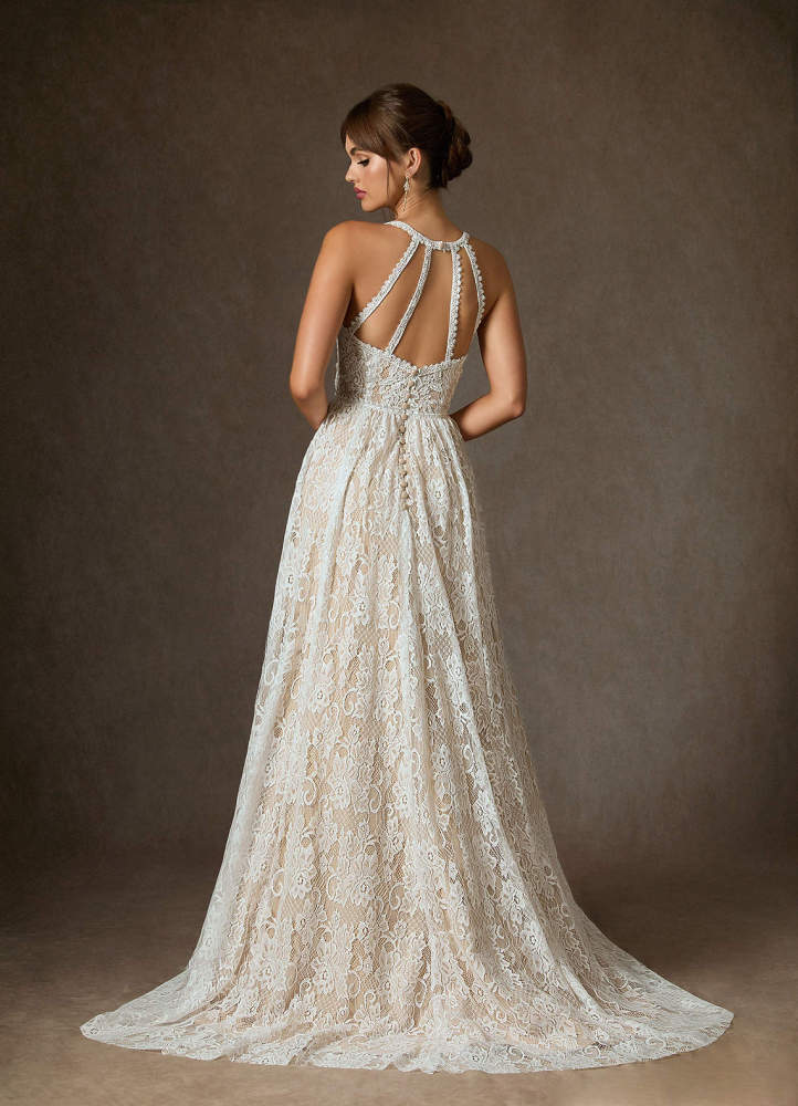 elyessen August Diamond White Champagne A-Line Lace Dress