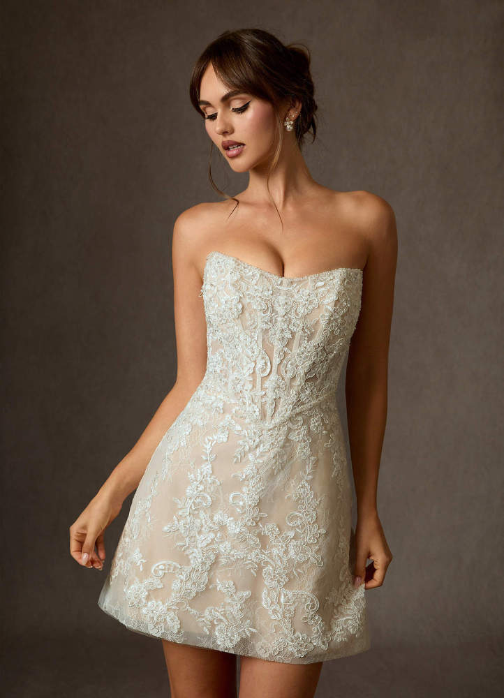 elyessen Diamond White A-Line Strapless Lace Dress