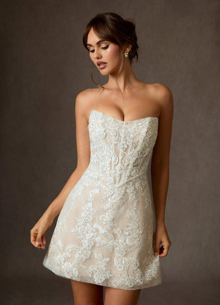 elyessen Diamond White A-Line Strapless Lace Dress