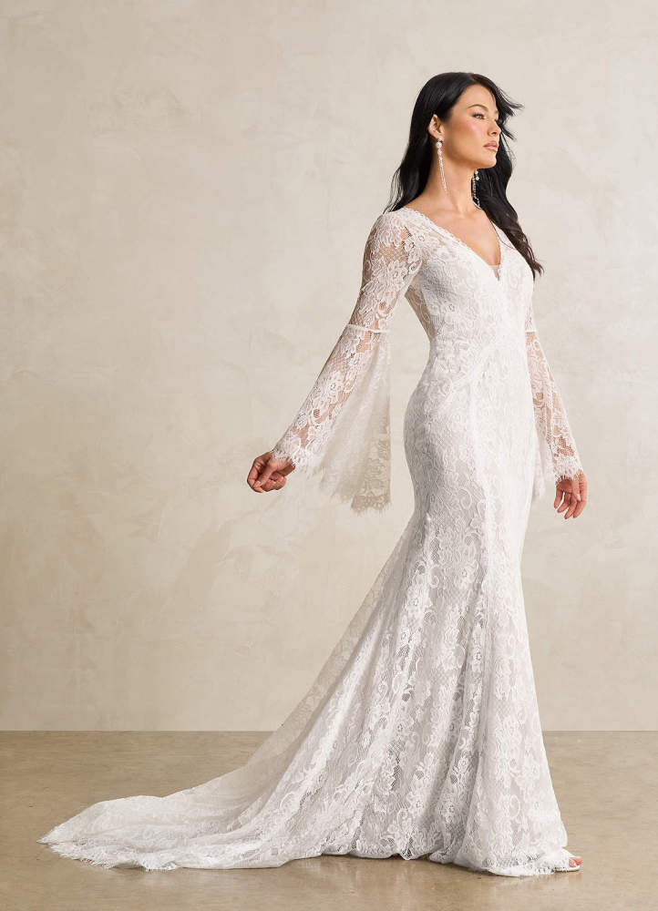 elyessen Hayes Diamond White Champagne Mermaid V-Neck Lace Dress