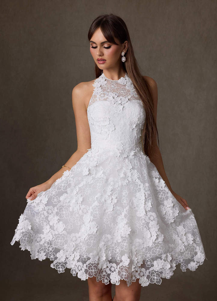 elyessen Cyra Diamond White A-Line Lace Dress
