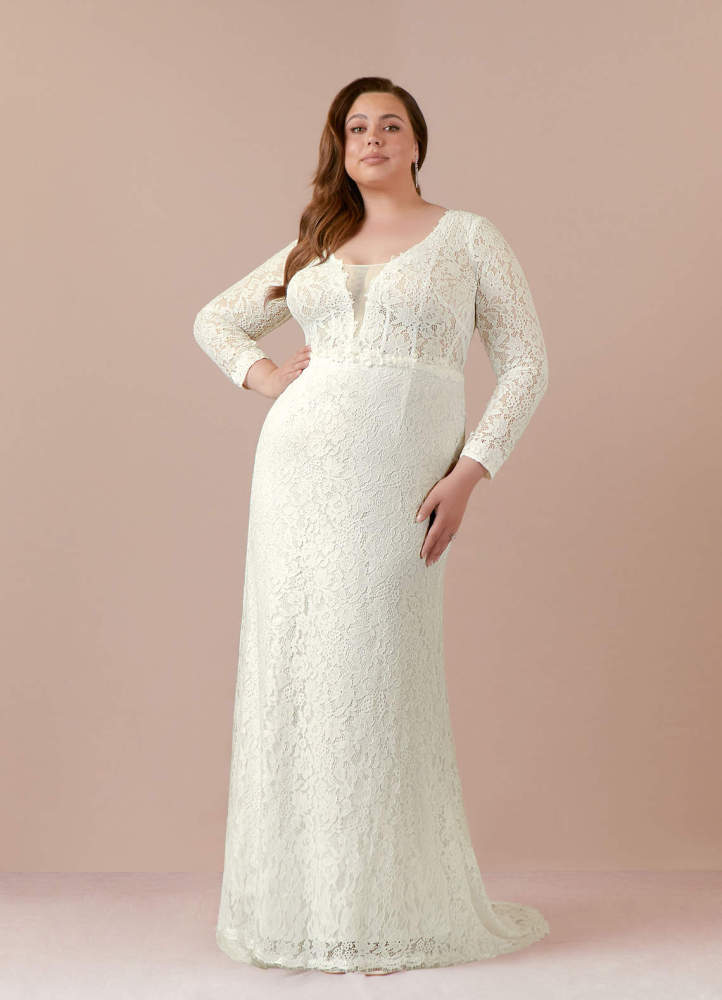 elyessen Cream Sheath V-Neck Tulle Dress