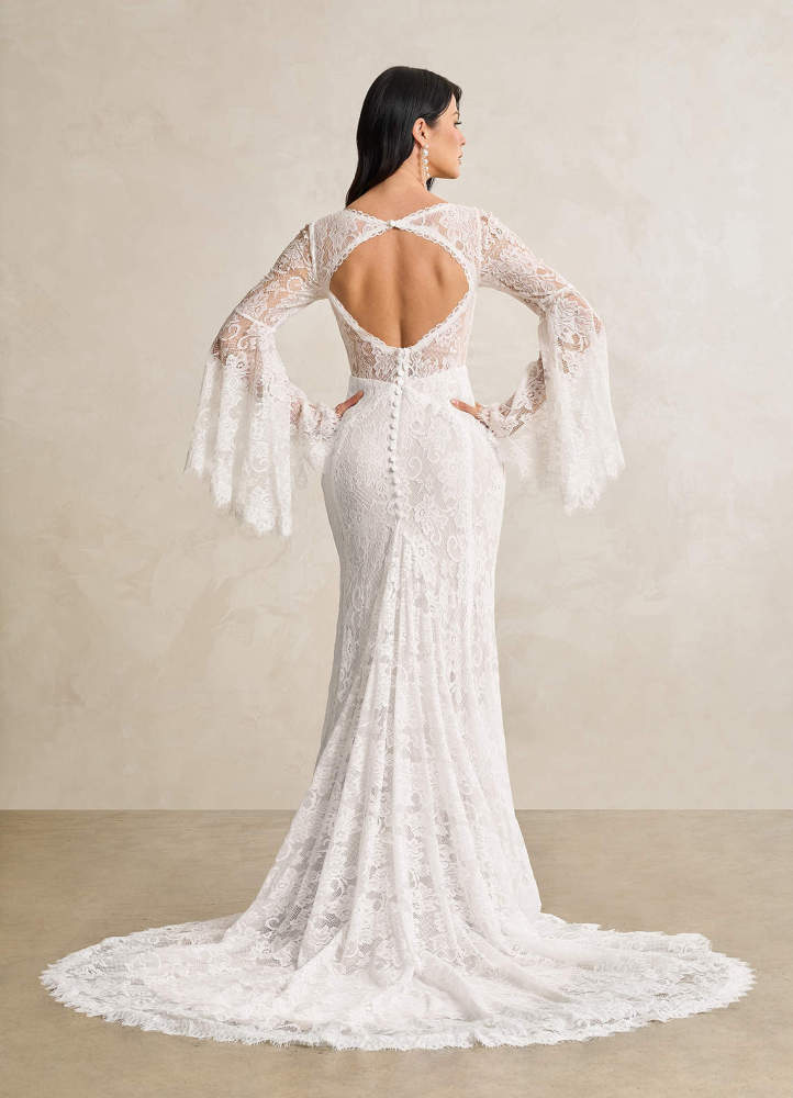 elyessen Hayes Diamond White Champagne Mermaid V-Neck Lace Dress