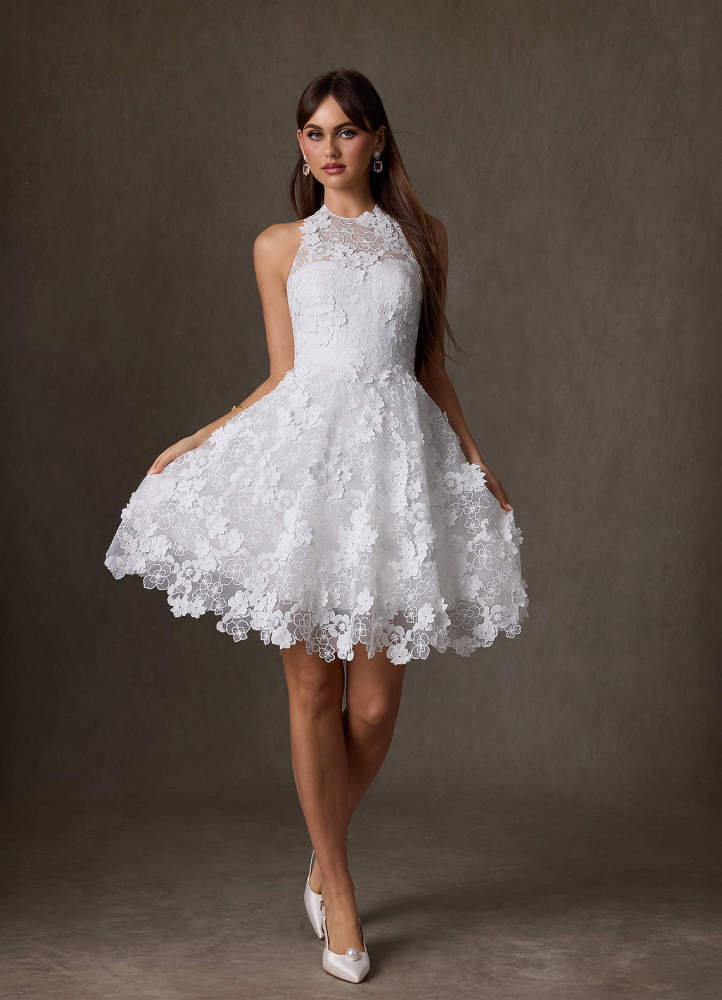 elyessen Cyra Diamond White A-Line Lace Dress
