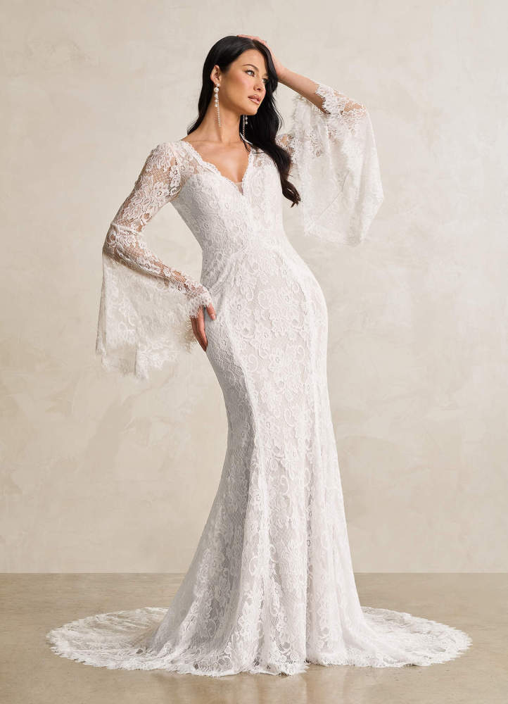 elyessen Hayes Diamond White Champagne Mermaid V-Neck Lace Dress