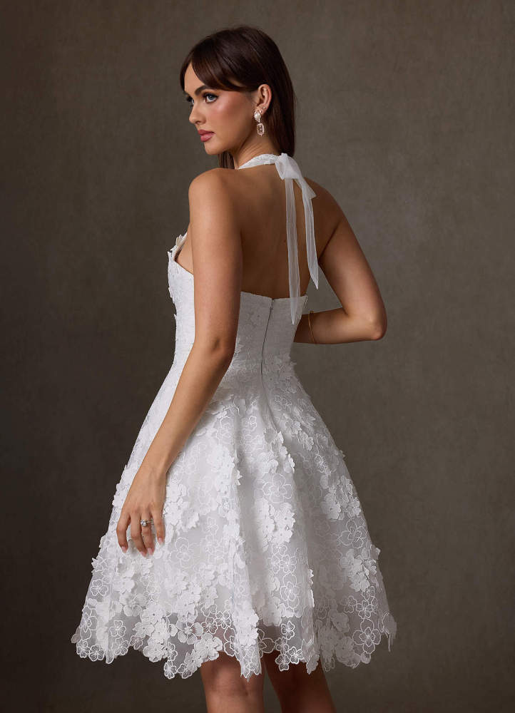 elyessen Cyra Diamond White A-Line Lace Dress