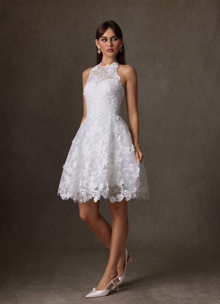 elyessen Cyra Diamond White A-Line Lace Dress