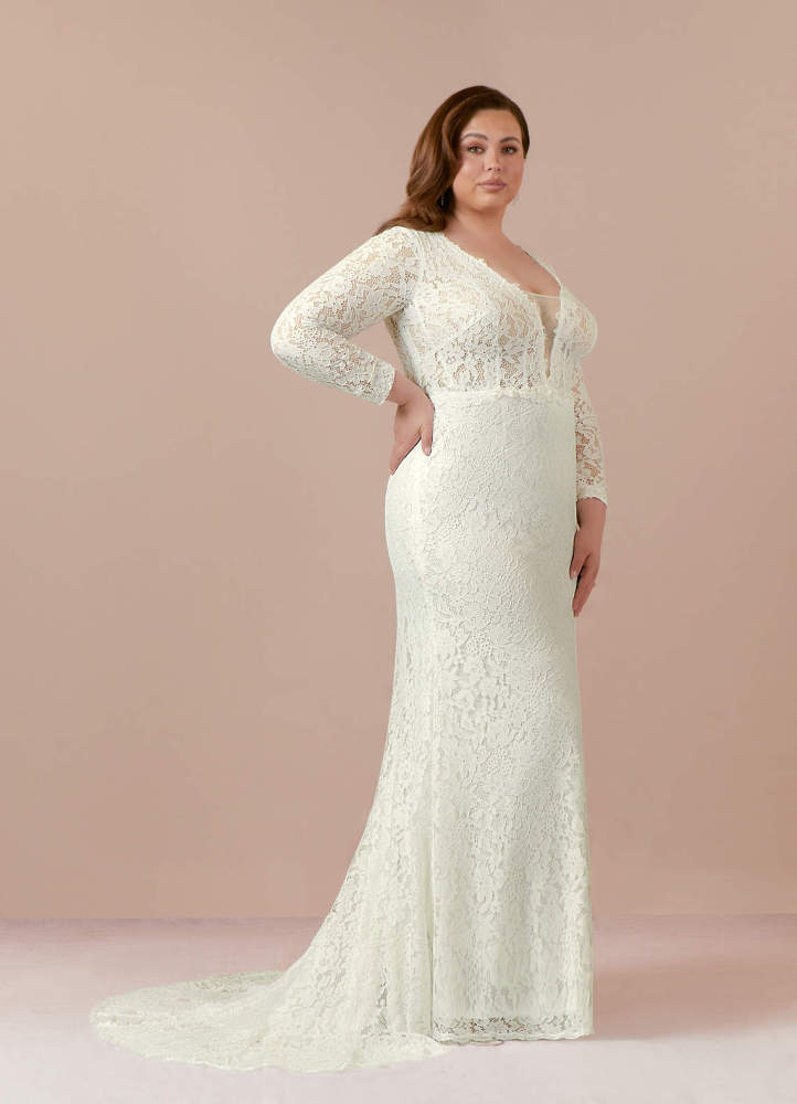 elyessen Cream Sheath V-Neck Tulle Dress