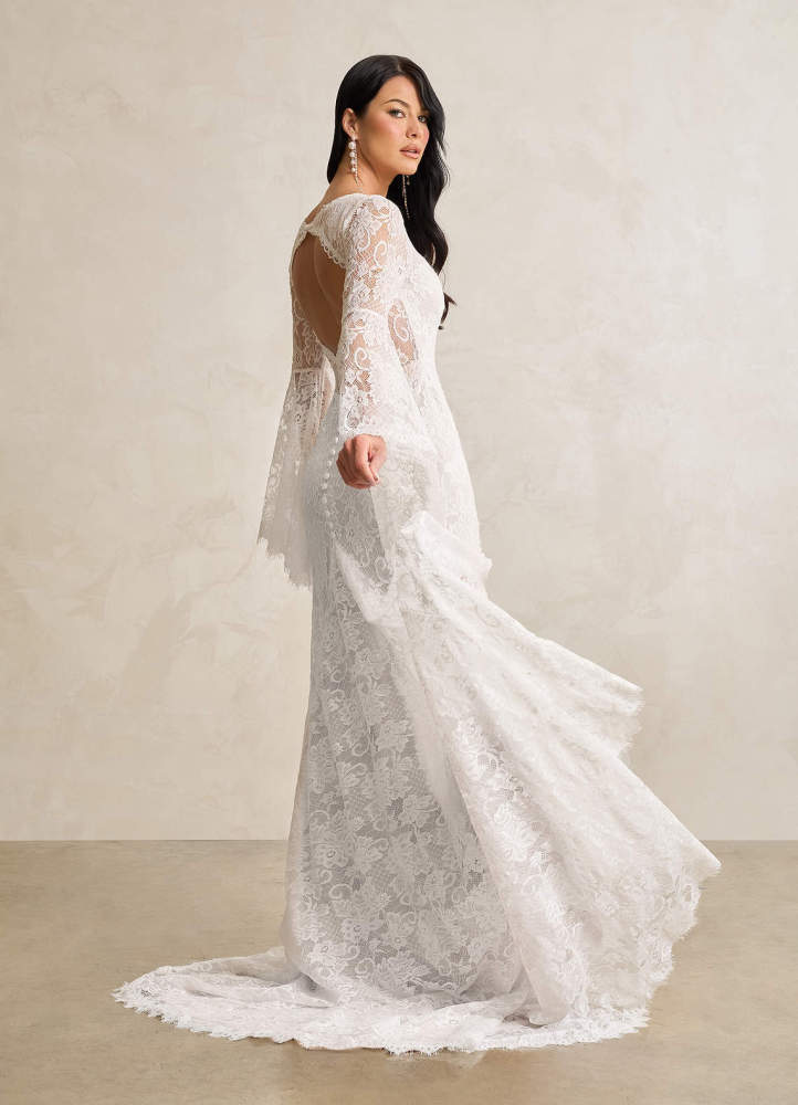 elyessen Hayes Diamond White Champagne Mermaid V-Neck Lace Dress