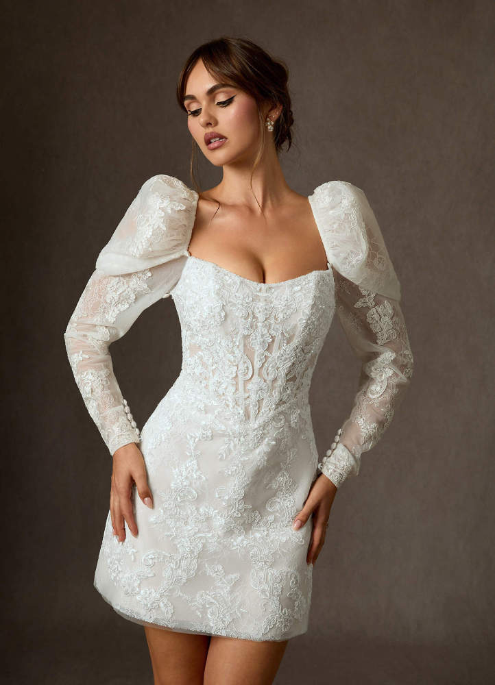 elyessen Winter Diamond White A-Line Strapless Lace Dress