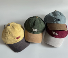 High Quality Cotton Japanese Style Washed Soft Top Baseball Cap for Women, New Casual Couple Hat