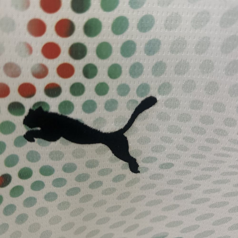 2025 Portugal Away Long Sleeve Football Jersey(Fans)